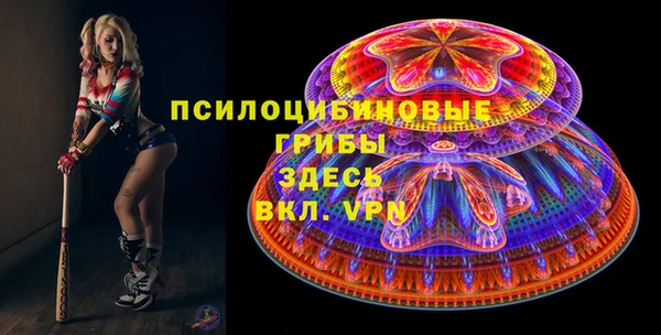 дмт Михайловск