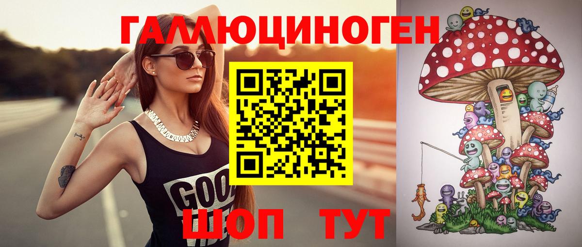 Галлюциногенные грибы Psilocybe  Бийск 