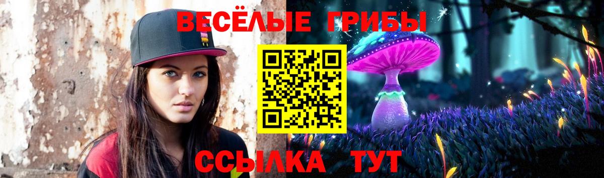 Псилоцибиновые грибы MAGIC MUSHROOMS Бийск