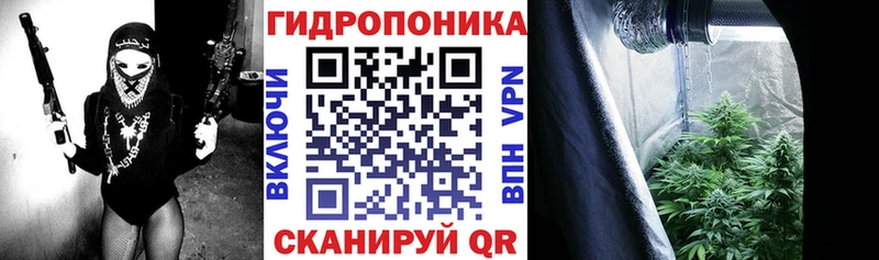 Бошки марихуана ГИДРОПОН  где купить наркотик  Бийск 